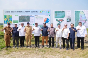 Lampung Jadi Pionir Ekosistem Bioetanol Nasional, Wamen Todotua Pasaribu Pimpin Kolaborasi